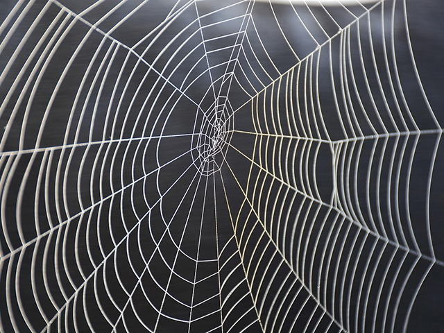 Tag des Hilfenetzes 2025